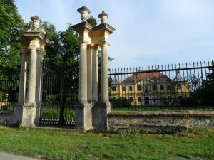 Вверх по Дунаю. Вена-Пассау-Фридрихсхафен. Лето 2014.